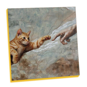 Michelangelo cat