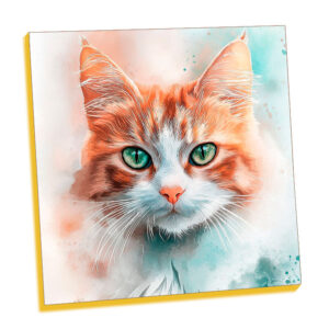 Orange and white cat